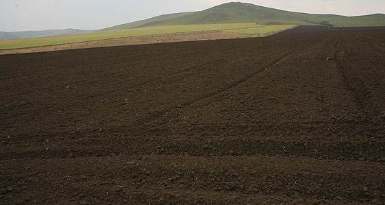 生物有機(jī)肥執(zhí)行標(biāo)準(zhǔn)