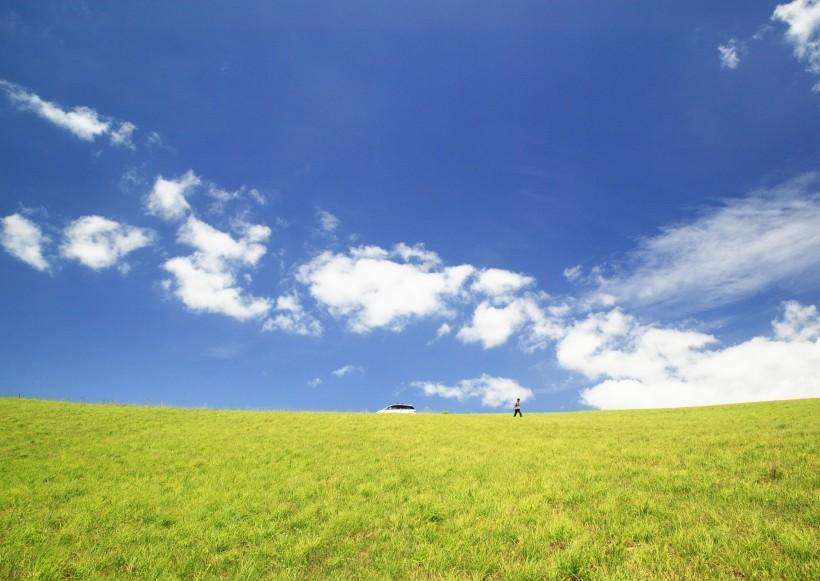 有機肥設(shè)備政府如何補貼