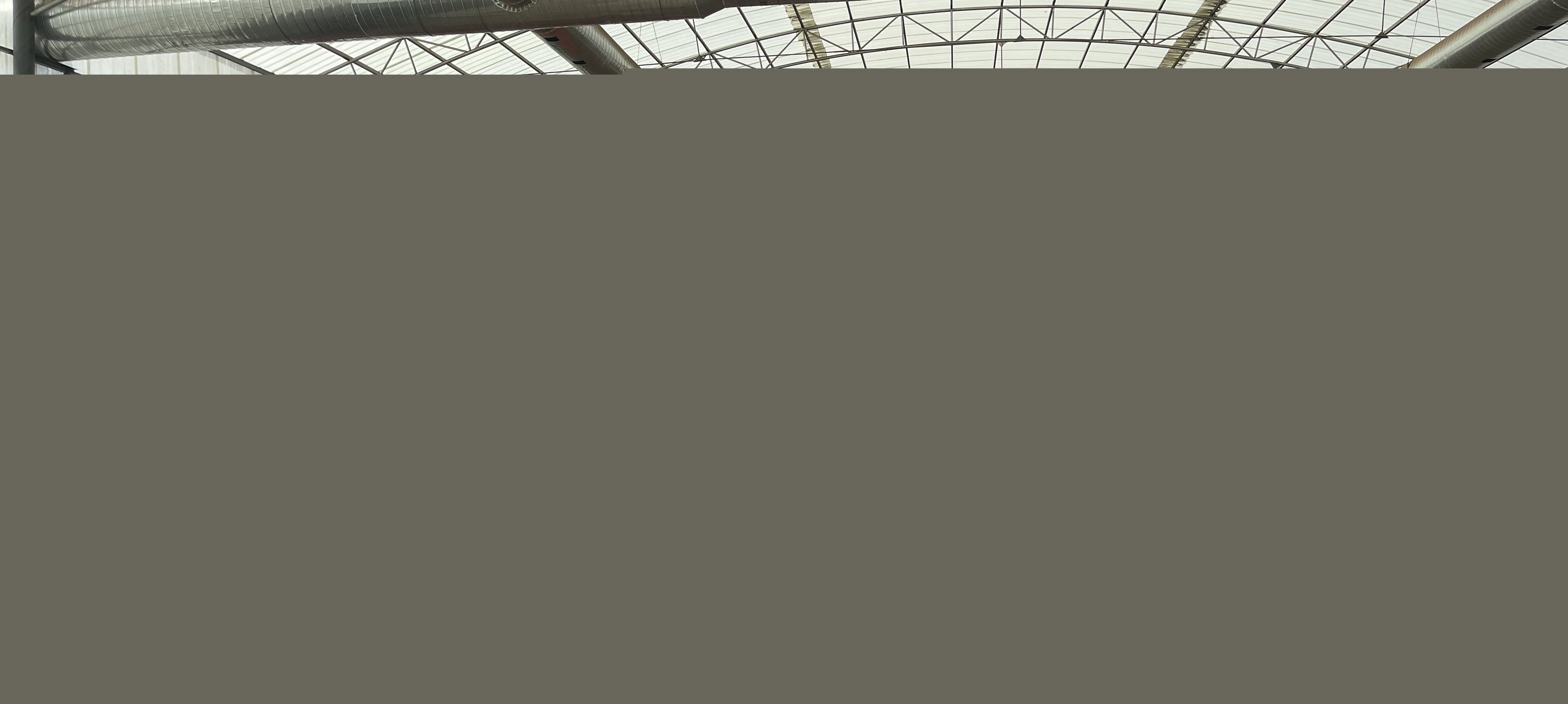 方案丨發(fā)酵技術對牛糞、雞糞加工有機肥效率影響